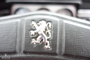 Peugeot 204 - 1967*Projet