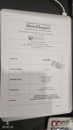 Peugeot 204 - 1967*Projet