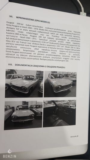 Peugeot 204 - 1967*Projet