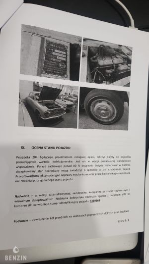 Peugeot 204 - 1967*Projet