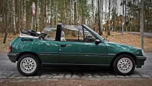 Peugeot 205 Roland Garros - 1993