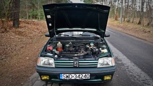 Peugeot 205 Roland Garros - 1993