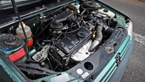 Peugeot 205 Roland Garros - 1993