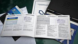 Peugeot 205 Roland Garros - 1993