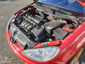 Peugeot 206 RC - 2005