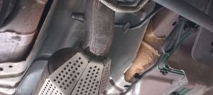 Peugeot 206 RC - 2005