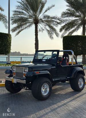 Jeep Wrangler 4.2 - 1990