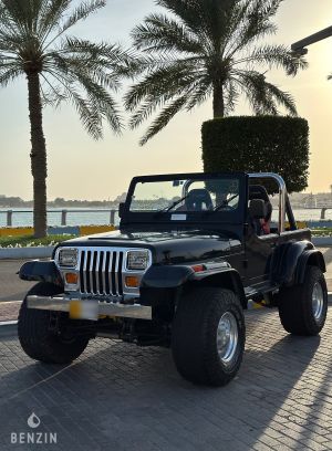 Jeep Wrangler 4.2 - 1990
