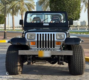 Jeep Wrangler 4.2 - 1990