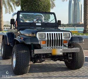 Jeep Wrangler 4.2 - 1990