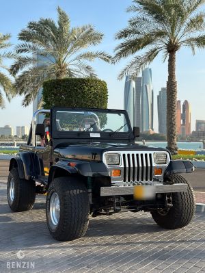 Jeep Wrangler 4.2 - 1990