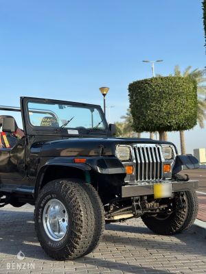 Jeep Wrangler 4.2 - 1990