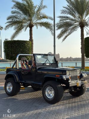 Jeep Wrangler 4.2 - 1990