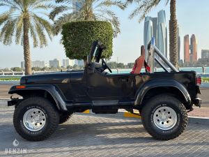 Jeep Wrangler 4.2 - 1990