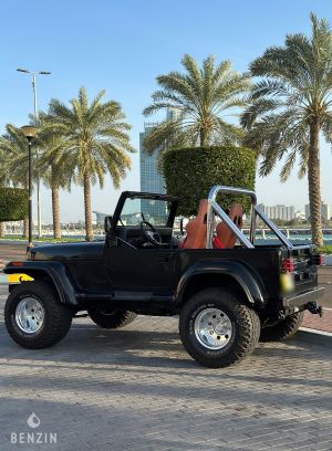 Jeep Wrangler 4.2 - 1990