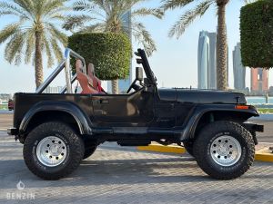 Jeep Wrangler 4.2 - 1990
