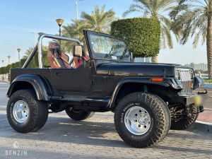 Jeep Wrangler 4.2 - 1990
