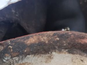 Peugeot 204 - 1967*Projet