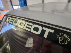 Peugeot 204 - 1967*Projet