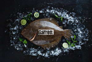 Porte Avion Turbot Garrett