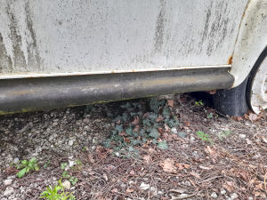 Renault Estafette Projet - 1979