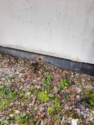 Renault Estafette Projet - 1979