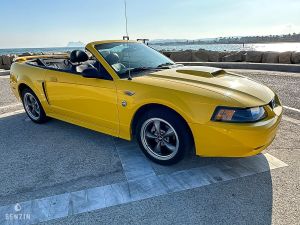 Ford Mustang GT Convertible 40th Anniversary - 2004