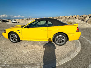 Ford Mustang GT Convertible 40th Anniversary - 2004