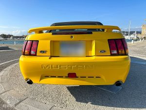 Ford Mustang GT Convertible 40th Anniversary - 2004
