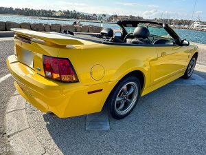 Ford Mustang GT Convertible 40th Anniversary - 2004