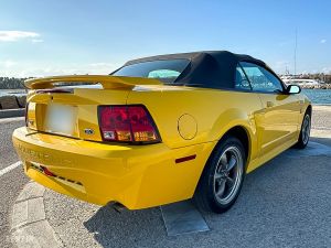 Ford Mustang GT Convertible 40th Anniversary - 2004