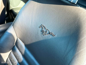 Ford Mustang GT Convertible 40th Anniversary - 2004