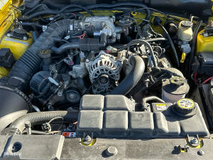 Ford Mustang GT Convertible 40th Anniversary - 2004