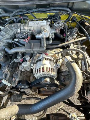 Ford Mustang GT Convertible 40th Anniversary - 2004