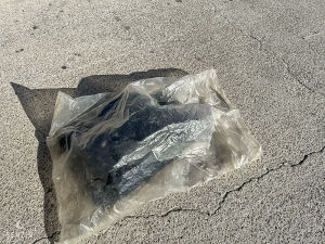 Ford Mustang GT Convertible 40th Anniversary - 2004