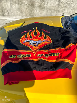 Ford Mustang GT Convertible 40th Anniversary - 2004