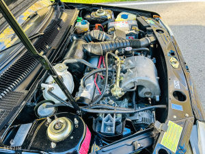 Peugeot 205 GTI 1.9 130 - 1988