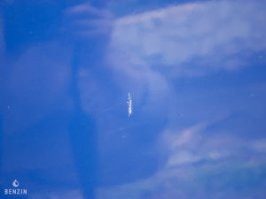 Volkswagen Combi T1 ‘Split’ type 221 - 1965