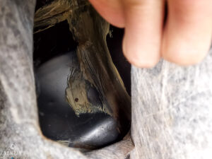 Pontiac Fiero GT V6 - 1989