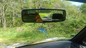 Peugeot 306 XS - 1999