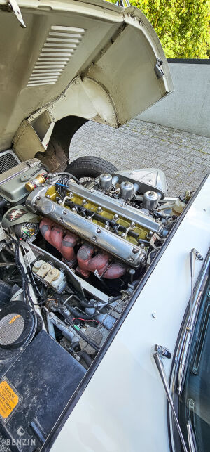 Jaguar Type E 4.2 FHC - 1965