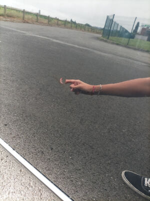 Nissan 350Z 35th anniversary - 2005