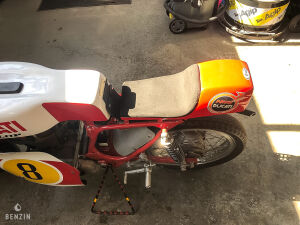 Ducati 450 Desmo - 1966