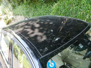 BMW 335i ActiveHybrid 3k km - 2015