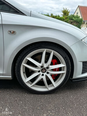 Seat Leon Cupra R310 - 2011