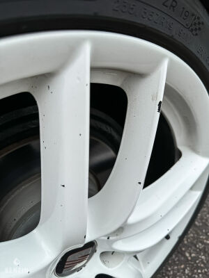 Seat Leon Cupra R310 - 2011