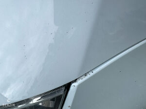 Seat Leon Cupra R310 - 2011