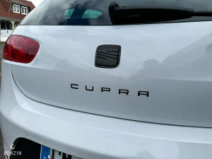 Seat Leon Cupra R310 - 2011