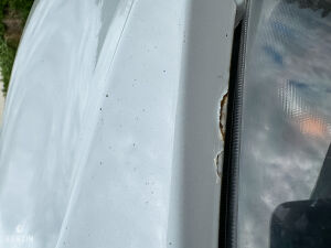 Seat Leon Cupra R310 - 2011