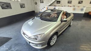 Peugeot 206 CC Rolland Garros 16k km - 2005
